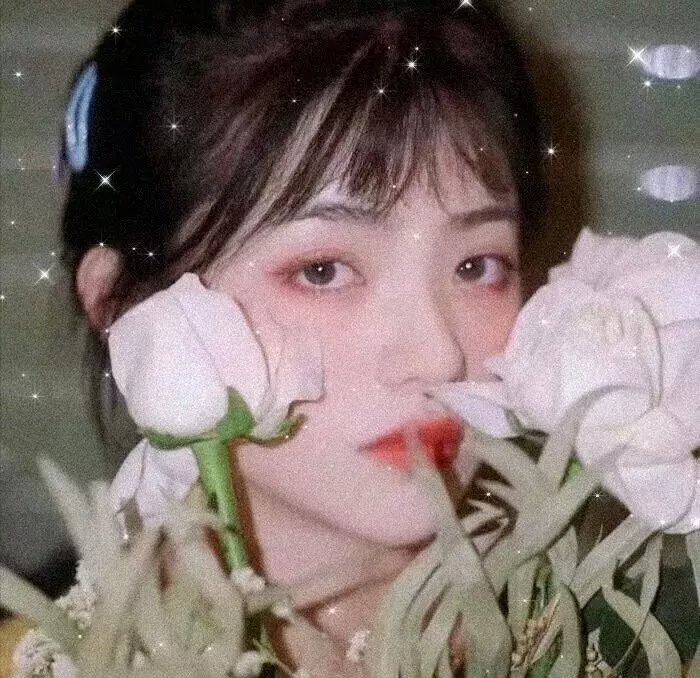 布勒斯特之女